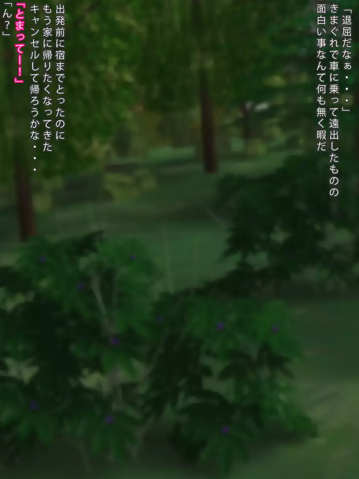 Hitchhike Shiteita Onnanoko to Iku Sakizaki de Sex Zanmai no Tabi!