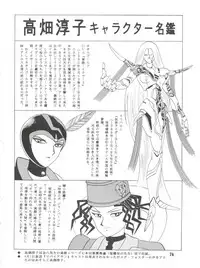 [Cross Fight!! (Gattai Soutou)] Sacrifice Kanzenhan (Magic Knight Rayearth)