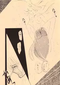 (C38) [Waku Waku Doubutsuen (Various)] Elf no Musume Kaiteiban - Die Elfische Tochter revised edition (Record of Lodoss War)