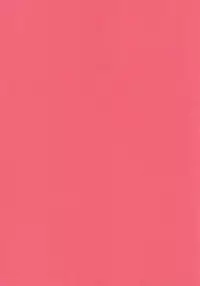 (C88) [Don't UndeRsTand, Almirua (DoLL Suke, Shihomu)] Kare wa Naze Watashi no 