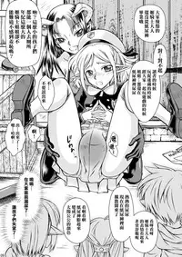 (Omu Fes 3) [Junkissa Gen (Tsurimiya Gen)] Elf no Himekishi ga Sotsugyou dekite Iru Hazu ga Nai [Chinese] [SR汉化组]