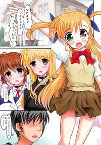 (C88) [STUDIO HUAN (Raidon)] ViviEin★HaRD Full Color Ban Platinum (Mahou Shoujo Lyrical Nanoha)