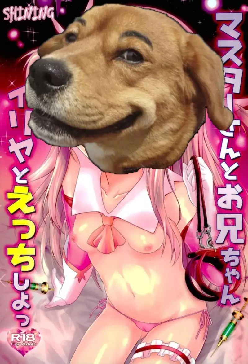 Master-san to Onii-chan Illya to Ecchi Shiyo