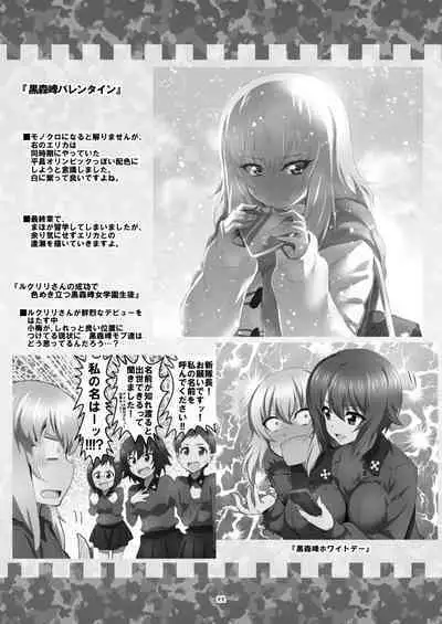 [Metamorphose (GUY)] TURIME-DO 4 (Girls und Panzer) [Chinese] [Digital]