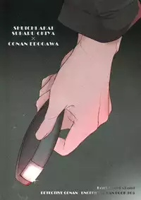 (C92) [Don't UndeRsTand (DoLL Suke)] Kawaki (Detective Conan)