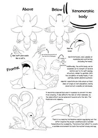 [Nekoarashi (Yana)] Igyo no Kimi to | A Tentacled Romance Ch. 1-2 [English] [Metaphrastes] [Digital]