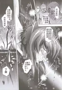 [Akiyama Production (Mikazuki Shikou)] Dennou Shokei | 電脳処刑 (Ghost in the Shell) [Chinese]