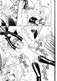 (C49) [DEROLIAN (Shark Yaminabe)] DEROLIAN 5 (Kaitou Saint Tail)