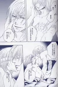 [Devil May Cry] Fragment (VergilxDante)