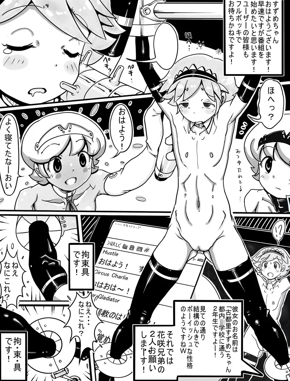 AOAKUA 'ELUA porno goods labratory Annual Report 2012