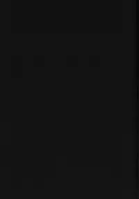 (C62) [Cha Cha Cha Brothers, Rupinasu Touzokudan (Yokoyama Chicha)] Naminami Zorozoro (One Piece)