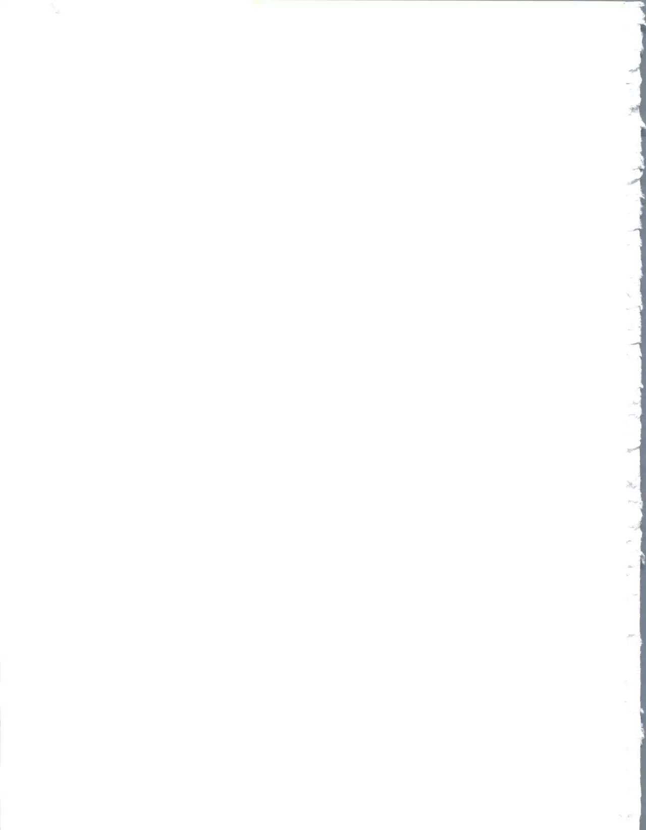 Ruli Ruli Photo File