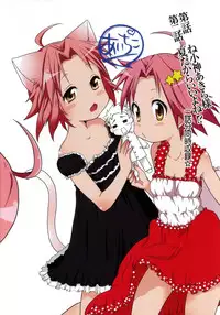 (C78) [Aichiko (ubizo)] Nekogami Akira-sama to Issho. (Lucky Star)