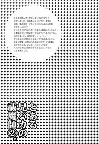 (Ao no Seiiki Lv.2) [USAKAZI. (Nanjou Tsugumi)] To Aru Ani-Baka no Exorcist 2. (Ao no Exorcist)