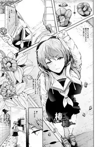 [Shomu] Fall In The Dark