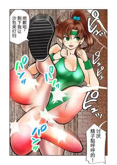 Nabutte! Sailor Senshi-sama