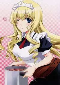 (C82) [Chagashi Saiban (Yamabuki Mook)] Lesson! (IS <Infinite Stratos>)