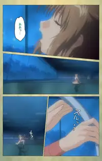 [Panda House] [Full Color Seijin Han] Shintaisou (Shin) etude.1 Complete Ban [Digital]