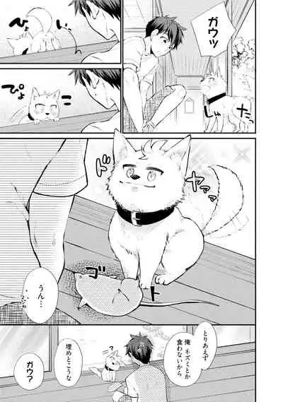 Wolves and Erotic Things