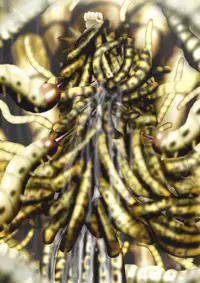 [Dende] Fushigi Sekai -Mystery World- Nonona 30 ~Sayuri-chan Ganbaru, Shikai no Daiin Maou no Arata naru Kyoufu~