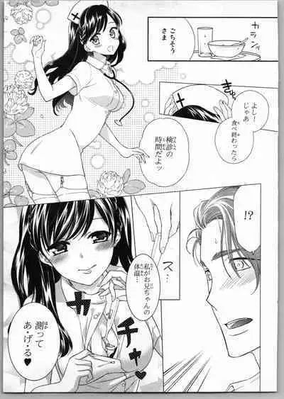 Onii-chan dakedo Ecchi ga Shitai