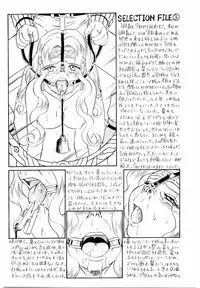 [IRIE YAMAZAKI] Princess File