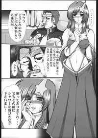 (C68) [Parupunte] Guilty of a Class B (Gundam SEED DESTINY)