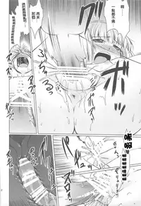 (C79) [Kajimura Market (Murasaki Kajima)] Shiratama Hokentaiiku -Karimen Hen- (Touhou Project) [Chinese] [靴下汉化组]