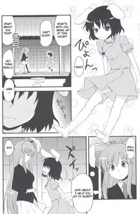 (Touhou Suukei Sai) [Shin Hijiridou Honpo (Hijiri Tsukasa)] Usagi no Miru Yume (Touhou Project) [English] [CGrascal]