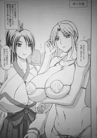 (COMIC1☆8) [Anglachel (Yamamura Natsuru)] DLC (Dead or Alive)