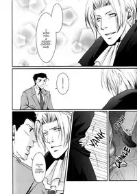 (C79) [Yokushitsu (Katsura)] MISTLETOE (Gyakuten Saiban) [English]