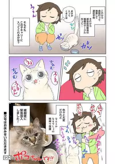 COMIC Ananga Ranga Vol. 73