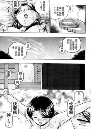 Reijou Maiko ~Kyuuke no Hien~