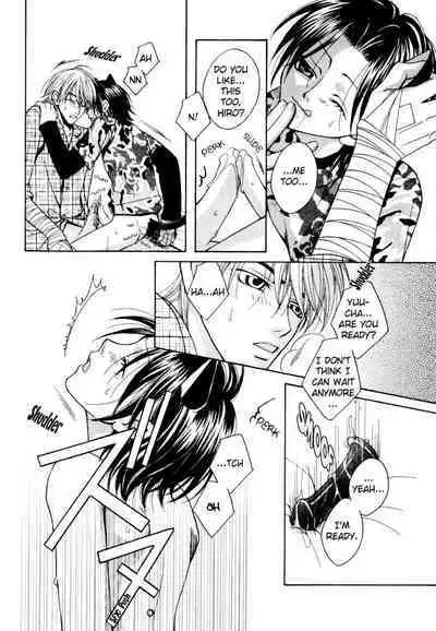 Puchi D VOL. 4 Kemonomimi