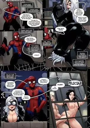 Nuptials of Black Cat