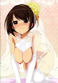 (C88) [Royal Bitch (haruhisky)] HARUCOS+ (The Melancholy of Haruhi Suzumiya)