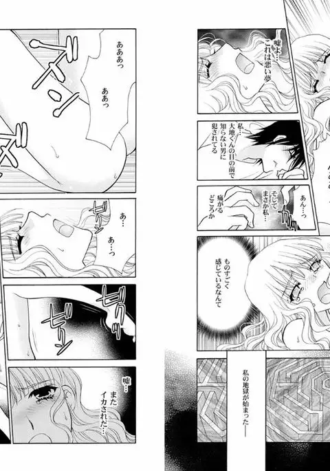 Aijuu Labyrinth ~Shihai Sareru Karada, Kowareteiku Risei~