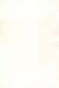 (C52) [Sancho Panda (PiYo, Kotono Wakako)] Muchuu ni Saseru Kare ga Suki (Bakusou Kyoudai Lets & Go!!)