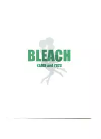 (C65) [Nikopondo (Aoyama Reo)] Otherside (Bleach) [English] {megasean3000}