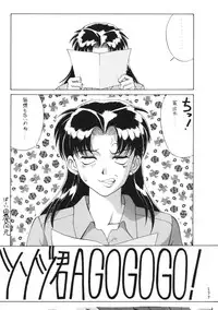 (C50) [Moriman Shouten (Various)] Katze 14 (Neon Genesis Evangelion)