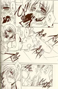 (C62) [BLUE GARNET (Serizawa Katsumi)] BLUE GARNET XIV SKY (SKYGUNNER)