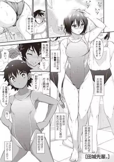 Himitsu no Shoujo Seiheki