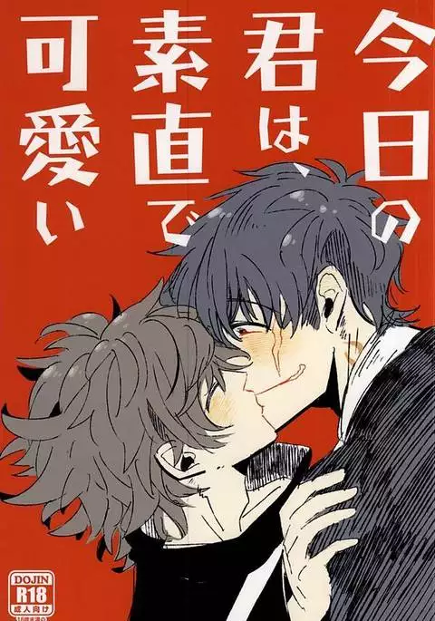 Kyou no Kimi wa, Sunao de Kawaii