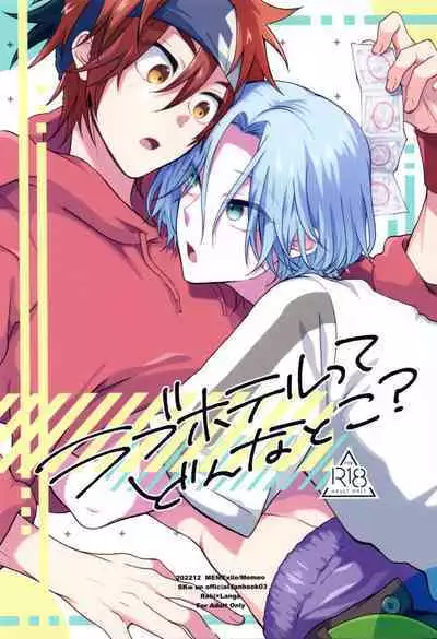 Love Hotel tte Donna Toko?