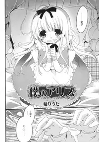 Comic Rin Vol. 25 [2007-01]