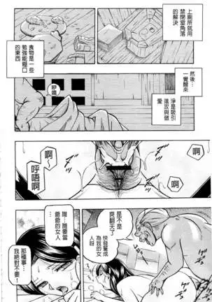 Reijou Maiko ~Kyuuke no Hien~