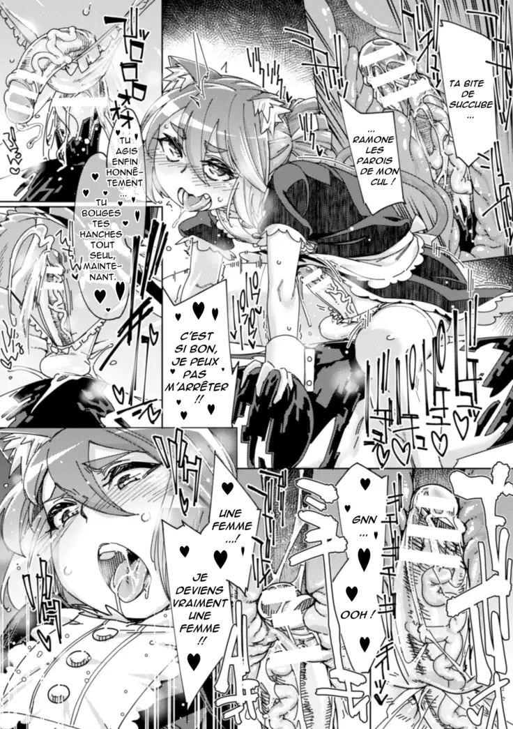 Wana Fumi Cat | un piège pour un chat