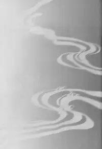 (CT13) [Nyagos (Yatengetu)] Hakudaku B2 (Code Geass) [English] [biribiri]