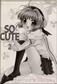 (C64) [Nagisawaya (Nagisawa Yuu)] CHERRY BLOSSOM (Card Captor Sakura)