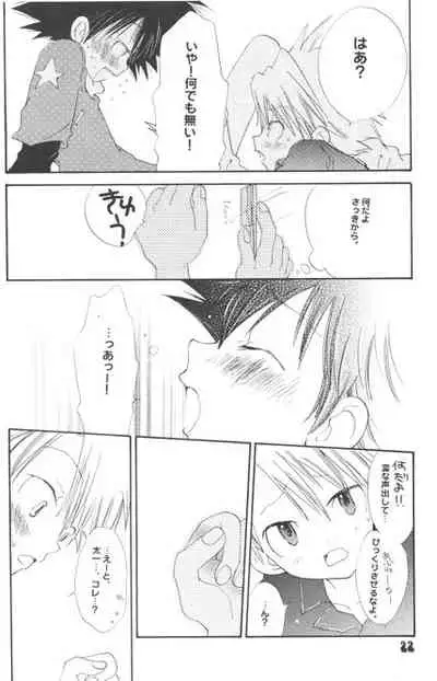 [PIKAPIKA (Takahashi Mako)] Hoshizora Touring Express (Digimon Adventure)